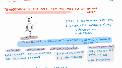 Study - Honey and Nigella Sativa For COVID-19- VIDEO